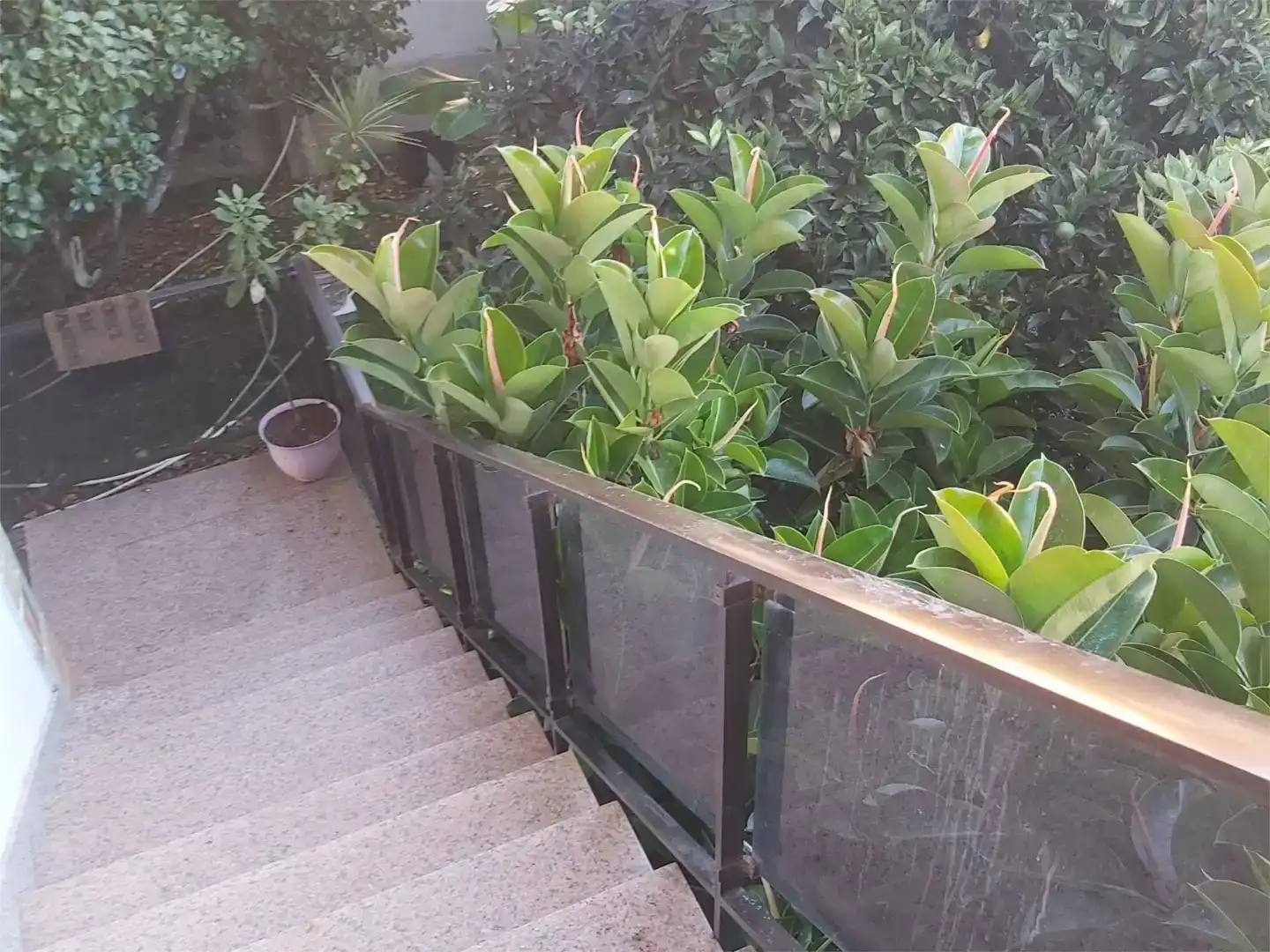 Balcony of Flat for rent in Vigo   with Private garden, Furnished and Balcony