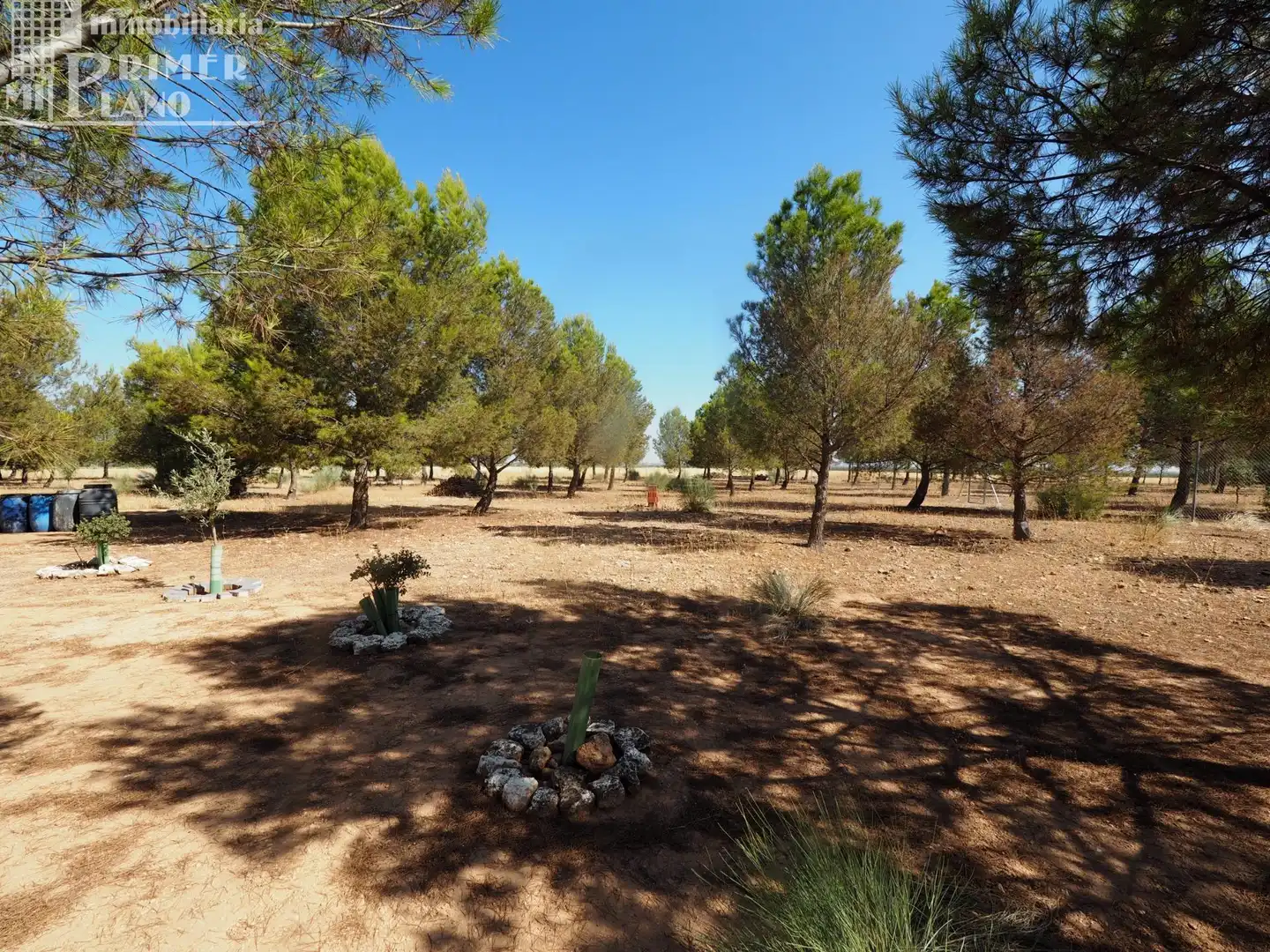 Chalet en venta en Tomelloso, imagen 2