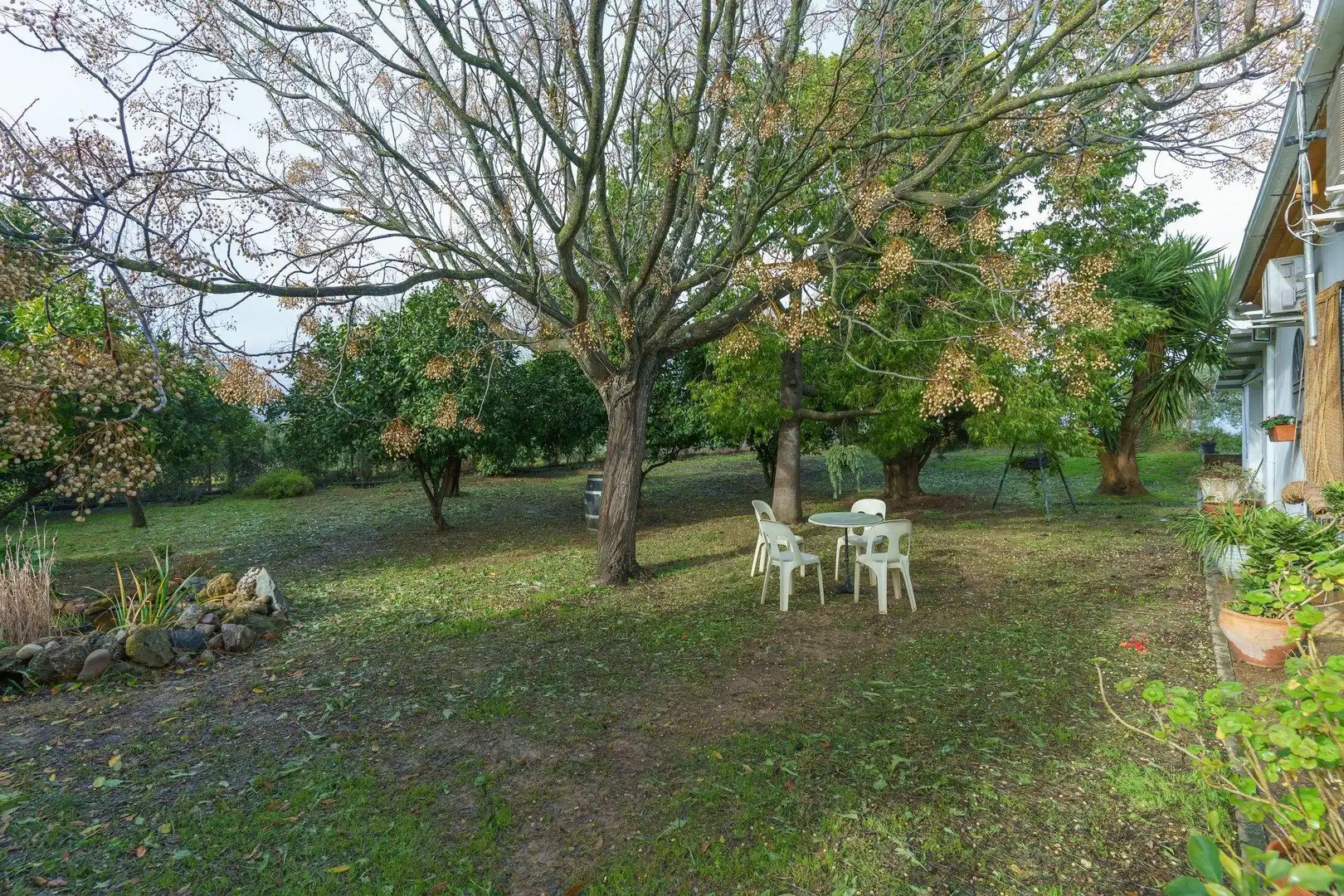 Finca rústica en venda a Manzanilla