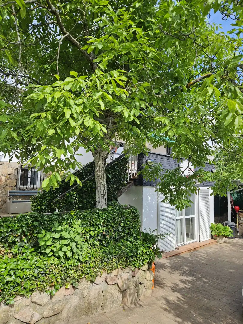 Terraza de Casa o chalet en venta en Navahondilla con Calefacción, Jardín privado y Parquet