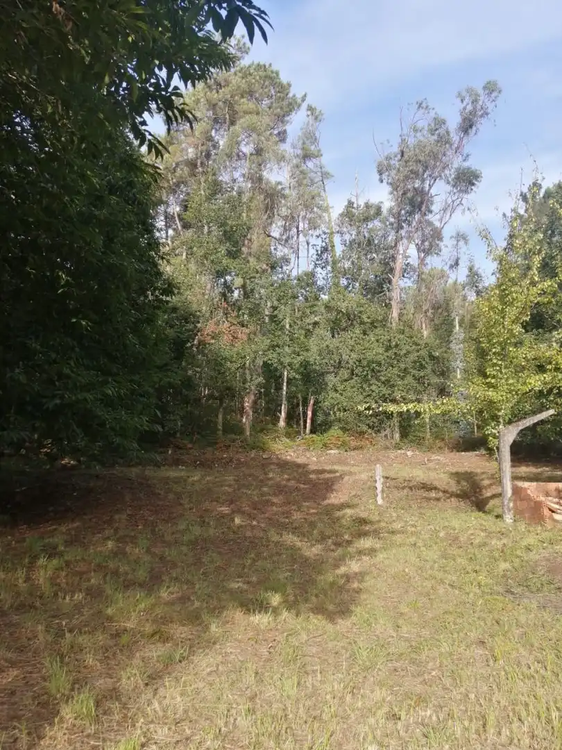Terrains et parcelles à vendre à Ponteareas, imagen 15