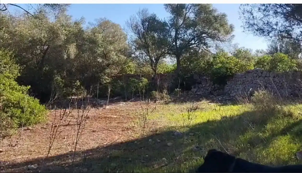 Terreno rustico in vendita a 0
