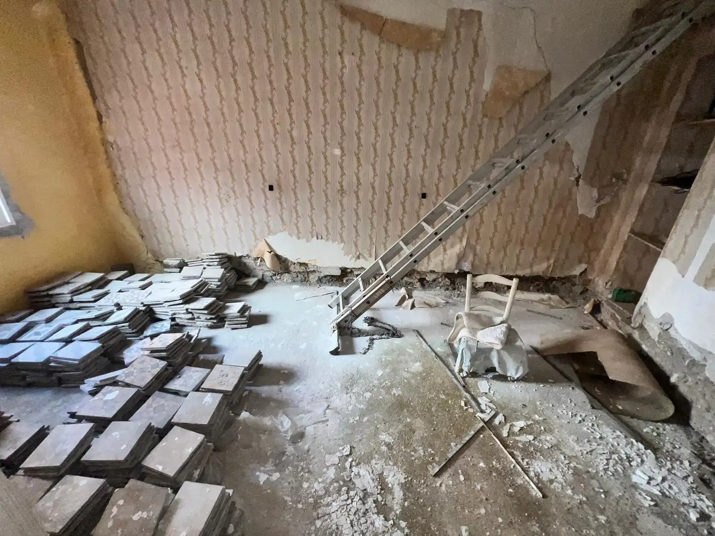 Inmuebles singulares en venta en Centro, imagen 20
