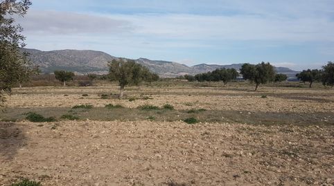 SE VENDE CUATRO PARCELAS EN SALINAS, DOS DE 50.000m Y DOS DE 20.000m, POR SEPARADO o EN CONJUNTO, imagen 3