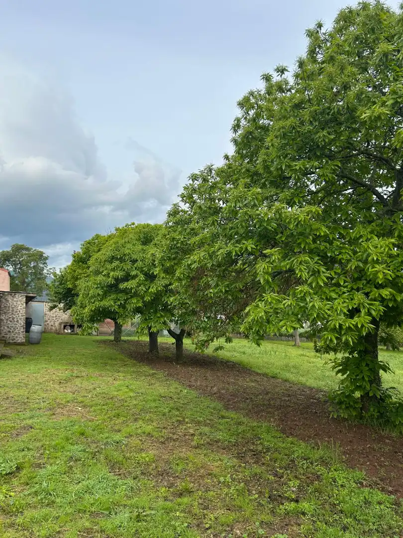 Jardín de Residencial en venta en Estollo