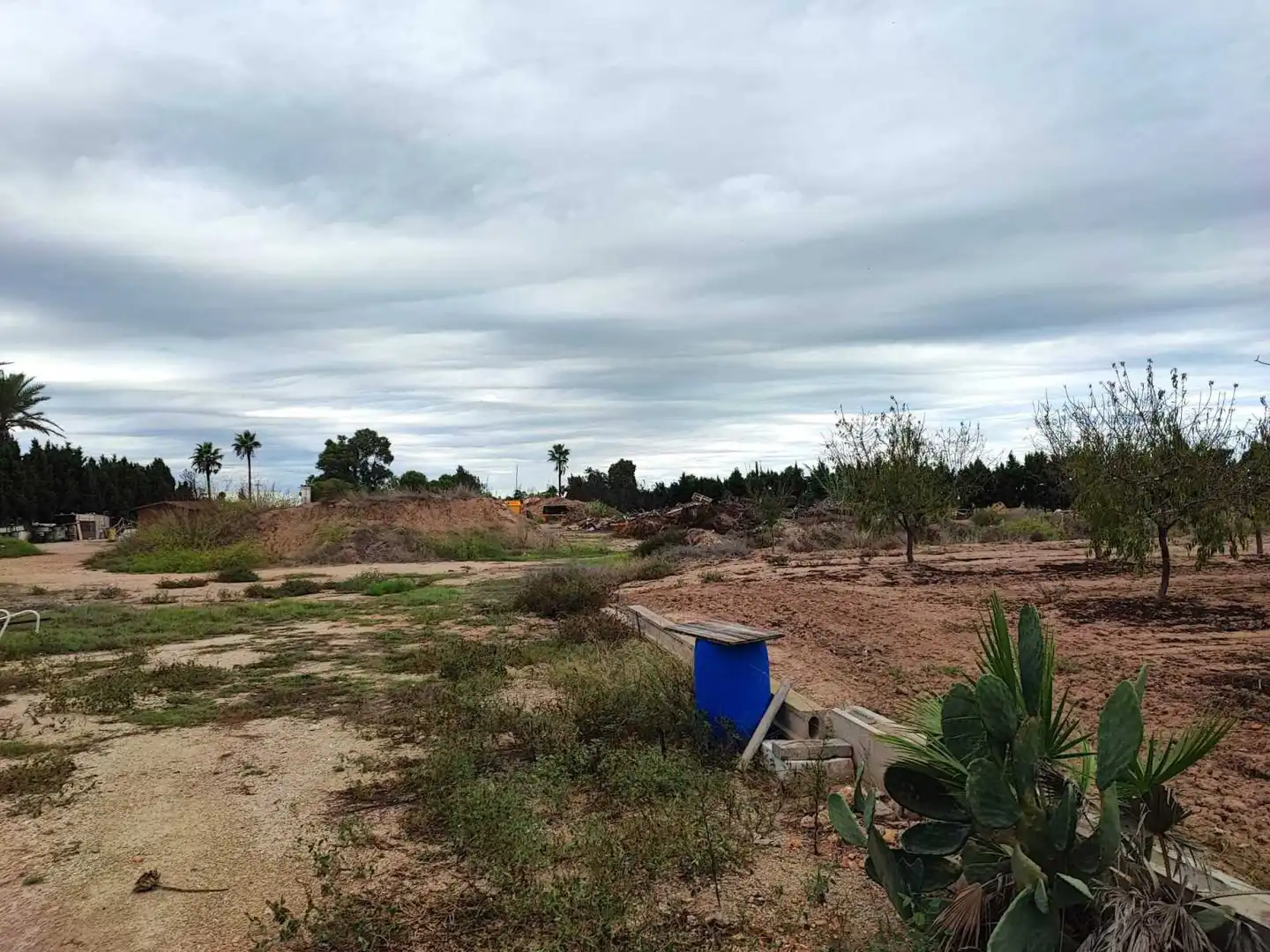 Lands and plots for sale in Sueca ciudad, imagen 10