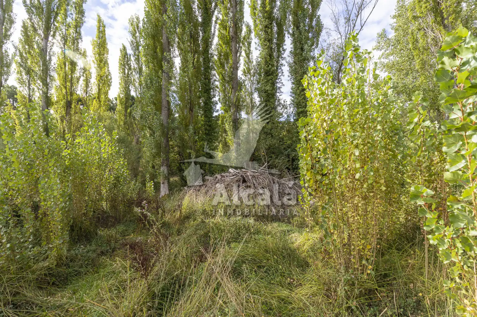 Terreno en venta en Hueva