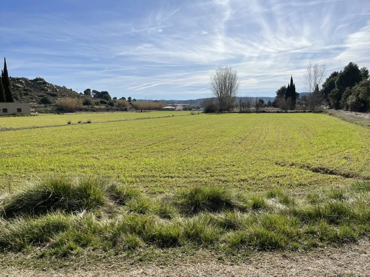 Terreni e lotti in vendita a Calle afueras