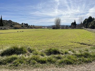 Terreno rustico in vendita a Calle afueras