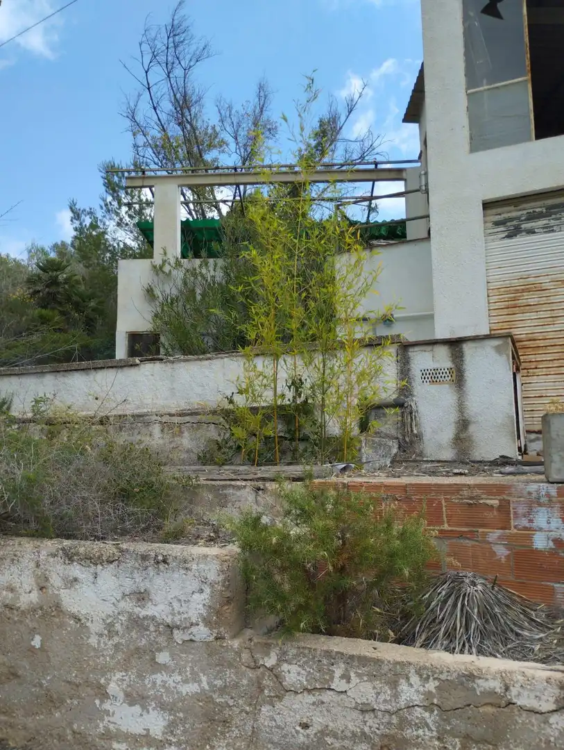 Jardí de Casa o xalet en venda en El Montmell