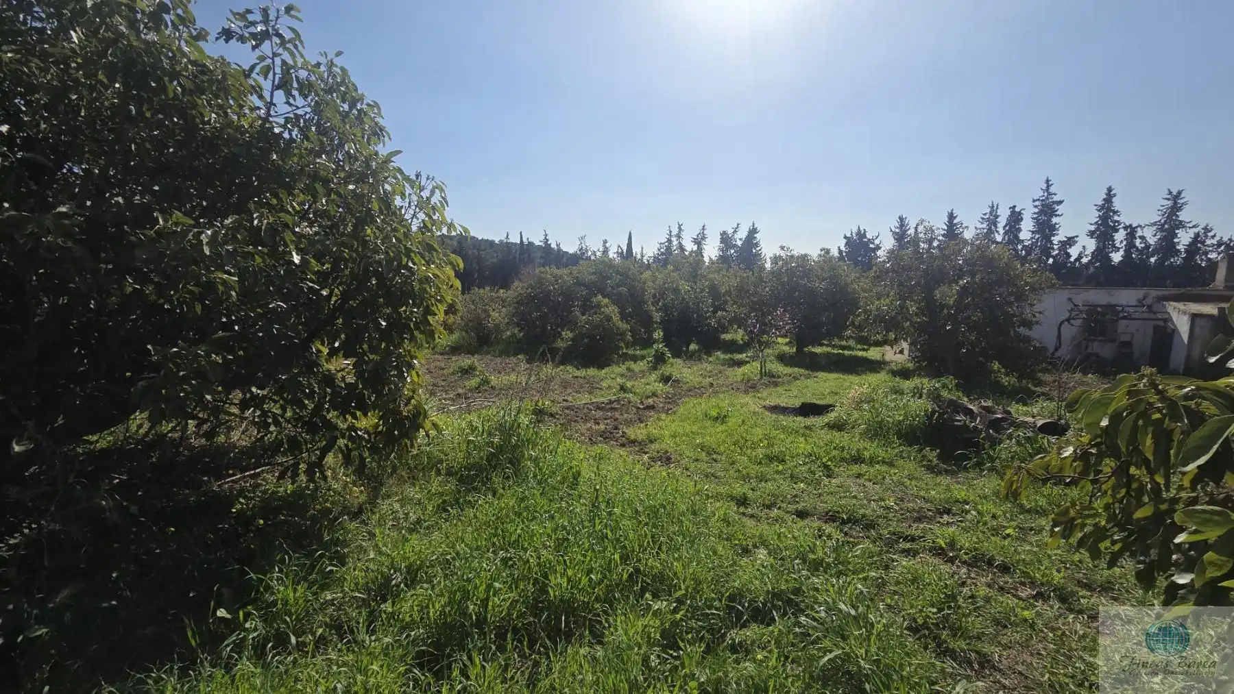 Casa rustica in vendita a Valtocado - La Alquería - La Atalaya, imagen 2