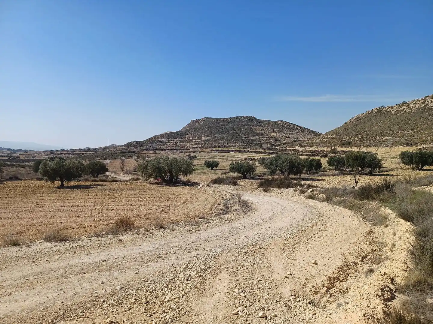 Rustikales Grundstück zum Verkauf in El Pinós / Pinoso, imagen 6