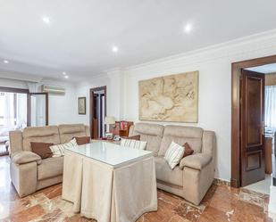 Sala d'estar de Pis en venda en  Granada Capital amb Calefacció, Terrassa i Balcó