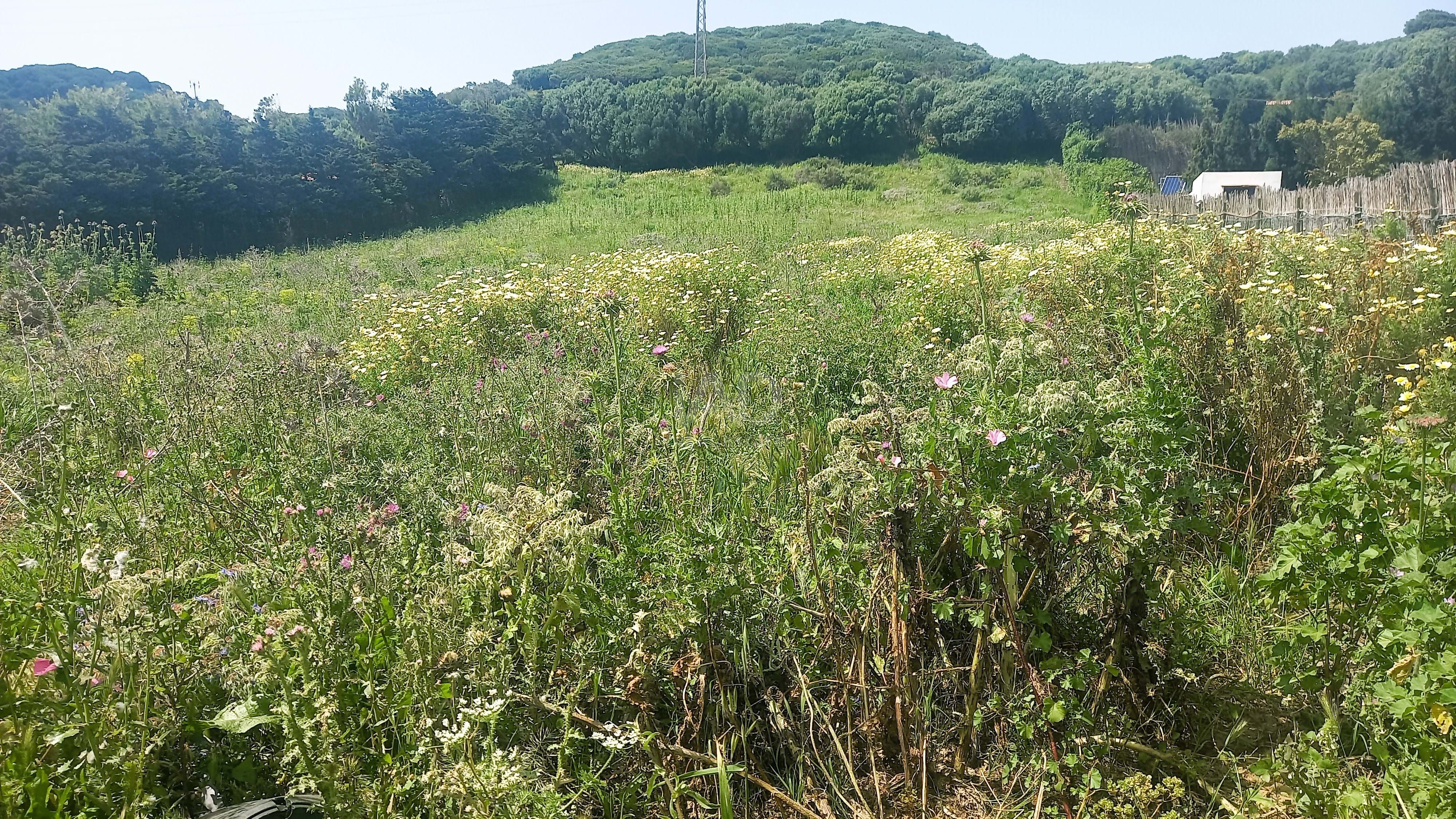 Residential for sale in Tarifa