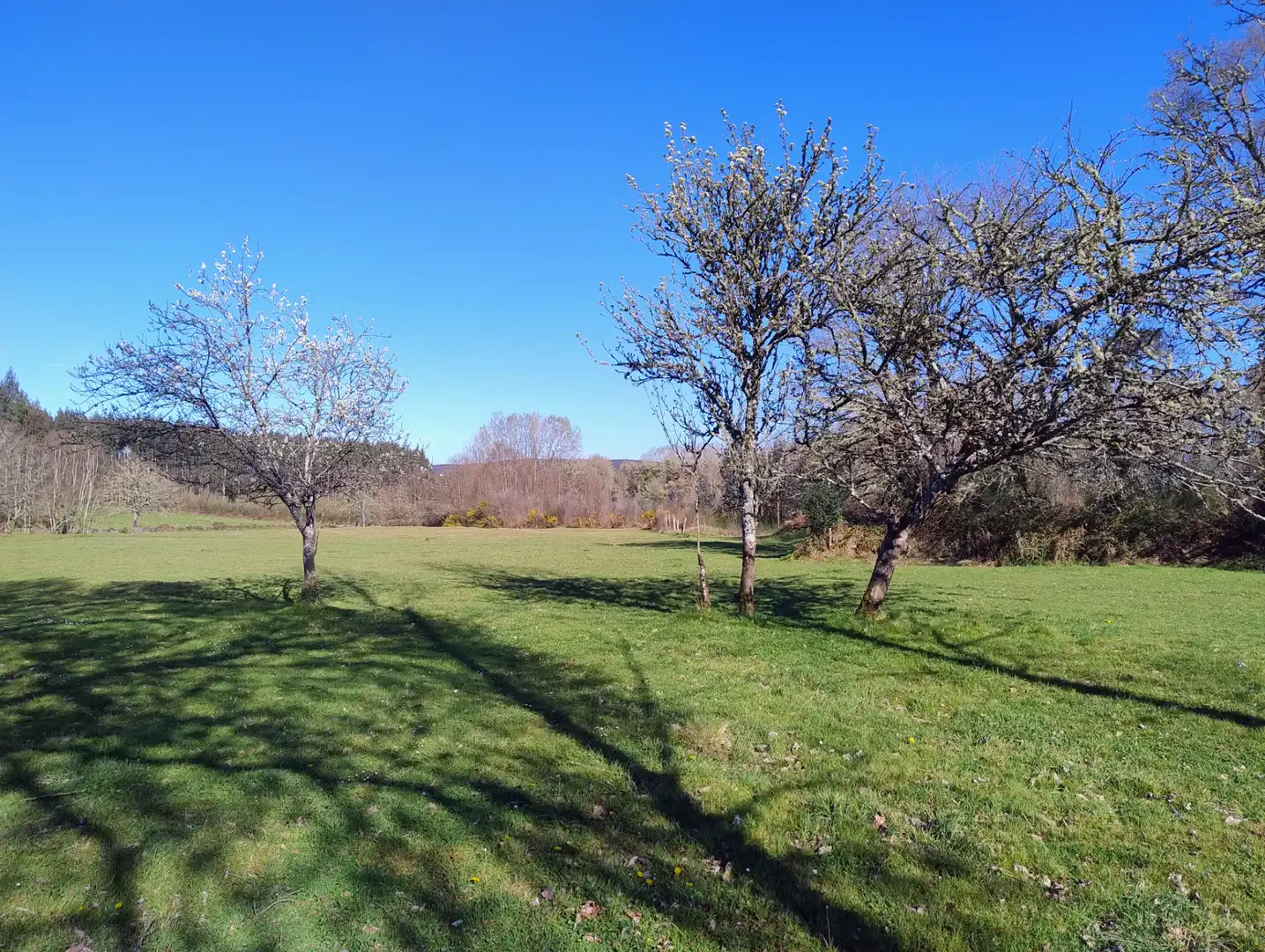 Maison à vendre à Begonte, imagen 68