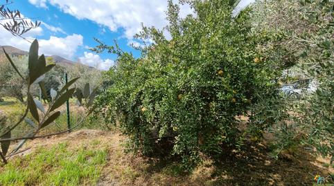 Foto 5 de Terreno en venta en Canjáyar, Almería