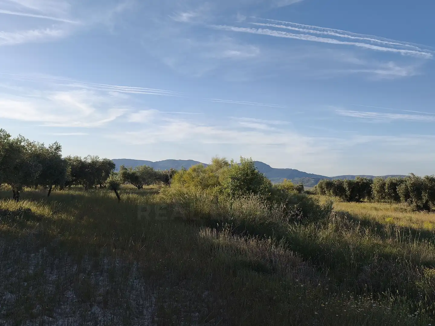 Terreno rustico in vendita a Moratalla, imagen 14