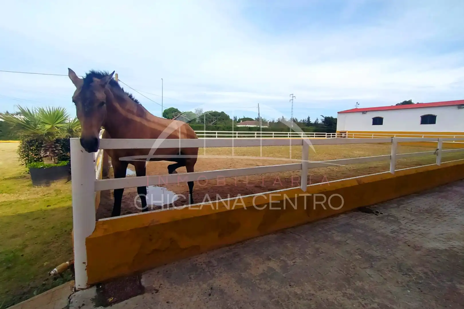 Chalet con jardín en venta en Las Lagunas - Campano, imagen 18