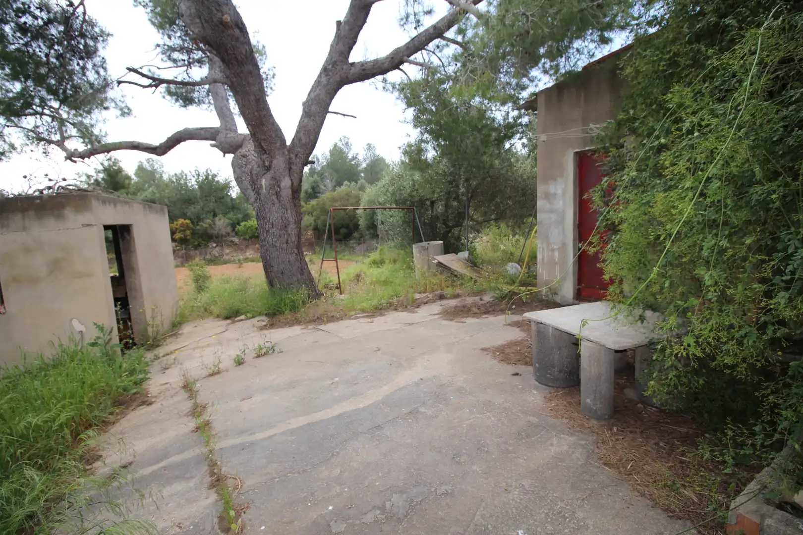 Houses for sale in Carlet