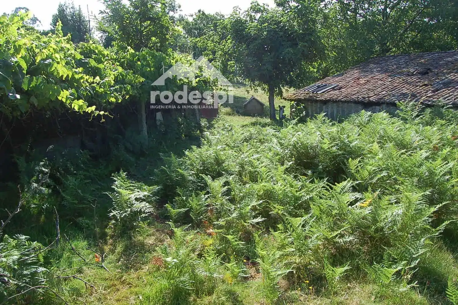 Terreny rústic en venda a Salvaterra de Miño, imagen 10