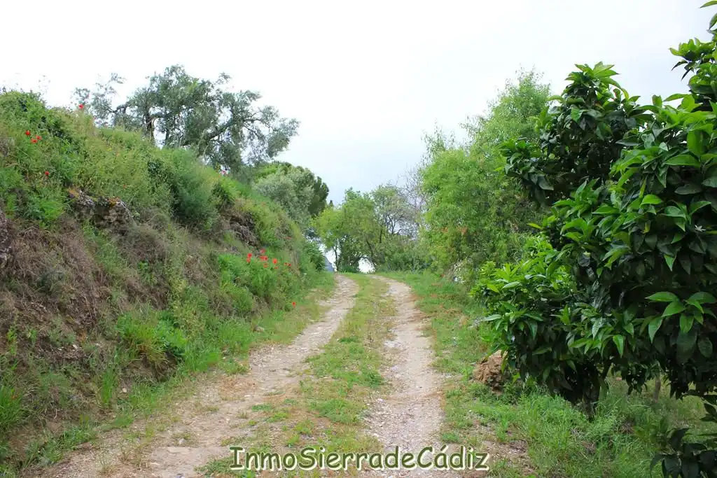 Casa rústica amb jardí en venda a Era de la Viña, imagen 7