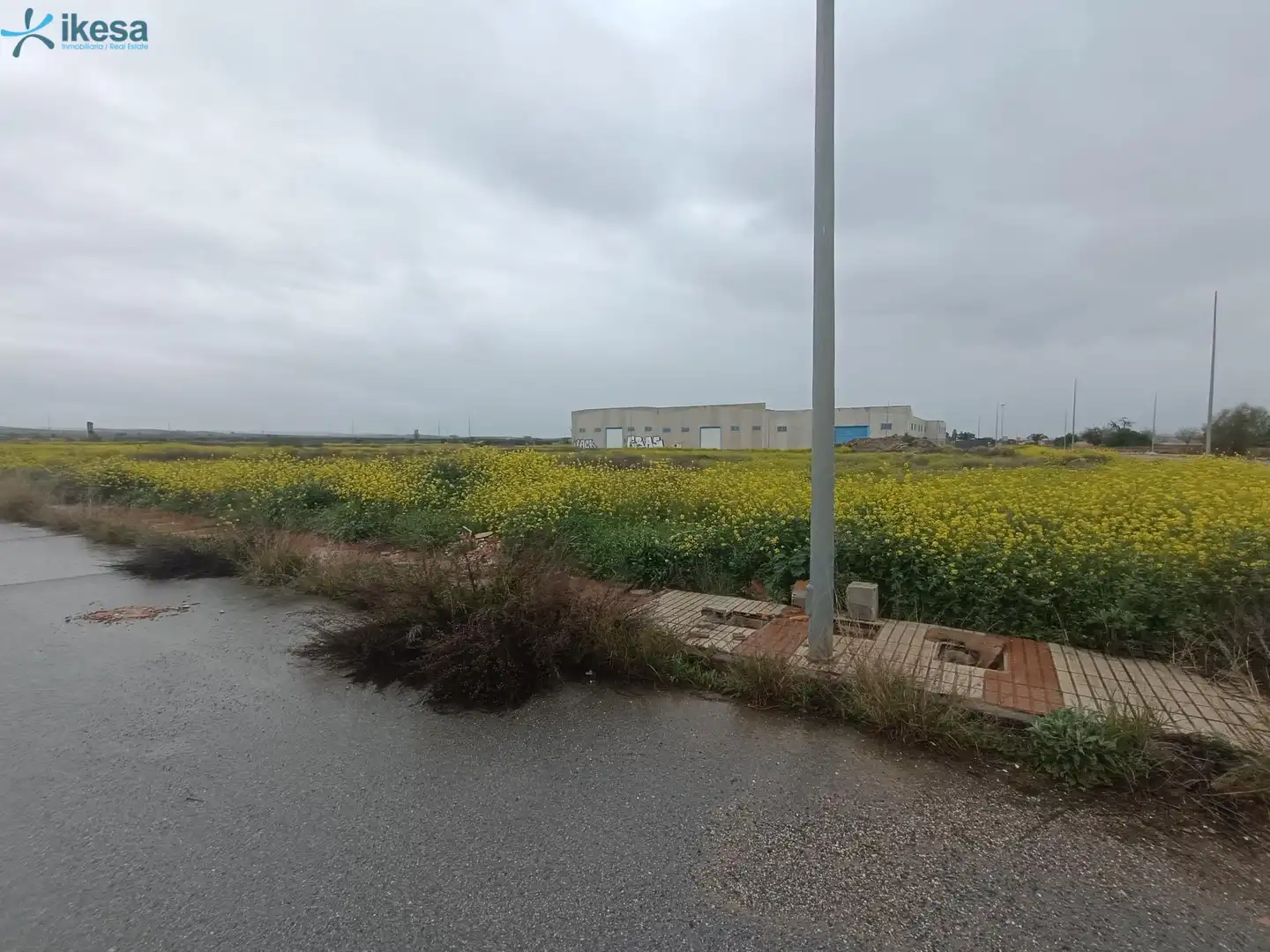 Terreni e lotti in vendita a Cijuela, imagen 16
