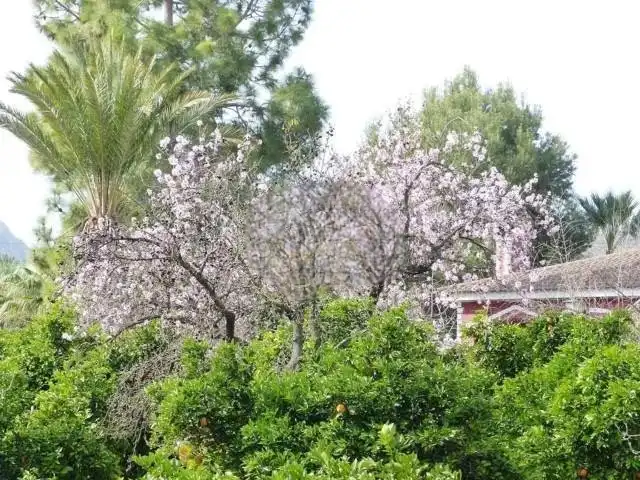Villa con terrazza in vendita a Totana, imagen 33