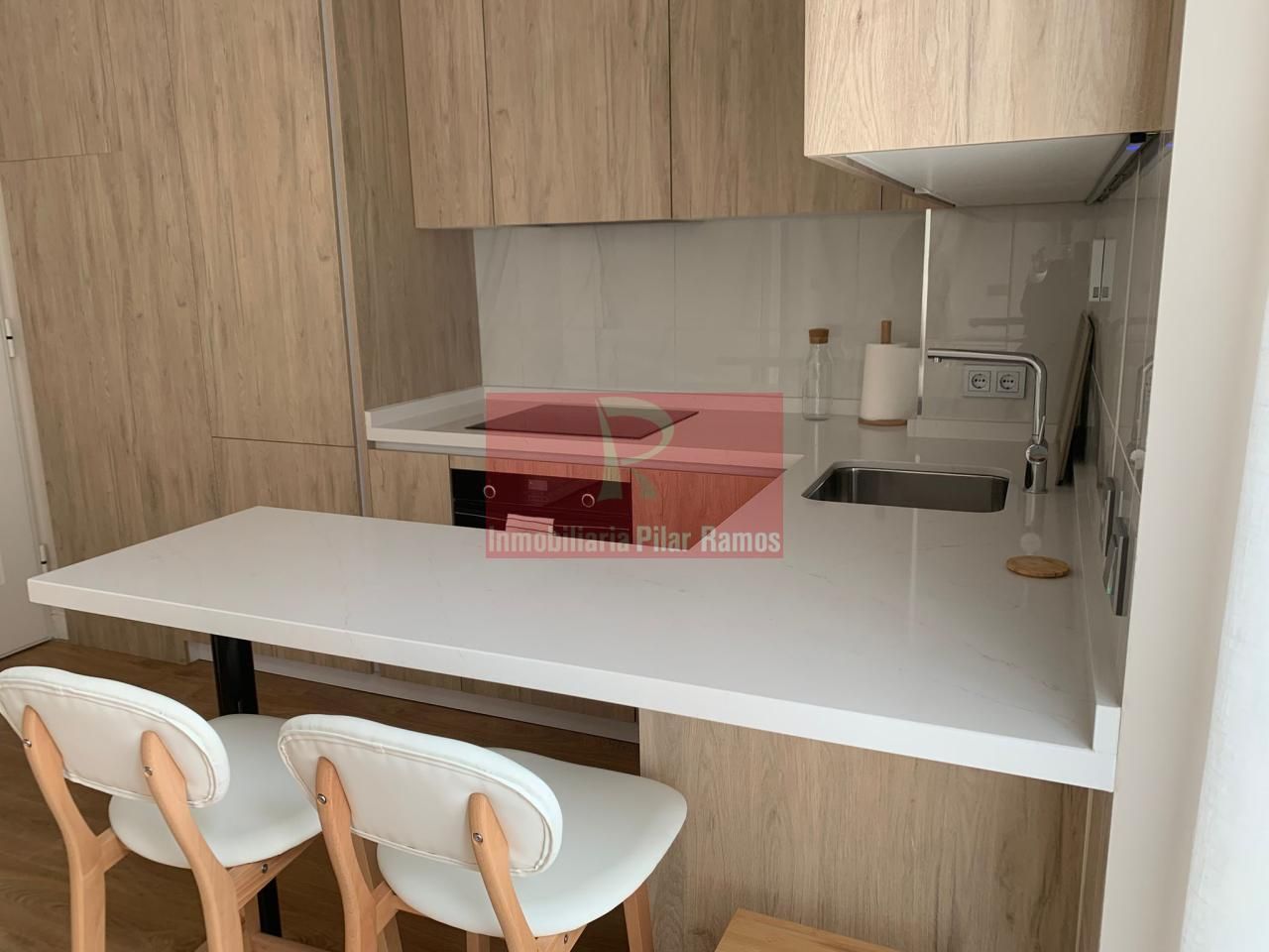 Apartament de lloguer a Centro Ciudad, León Capital