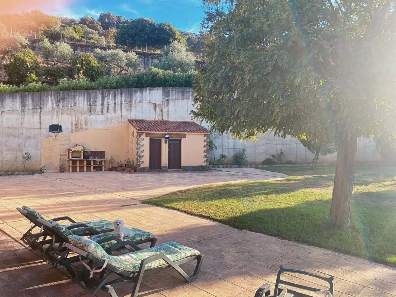 Garden of Houses for sale in Plasencia  with Air Conditioner, Private garden and Swimming Pool