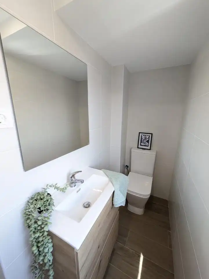 Flat for rent in Paciencia, Centro