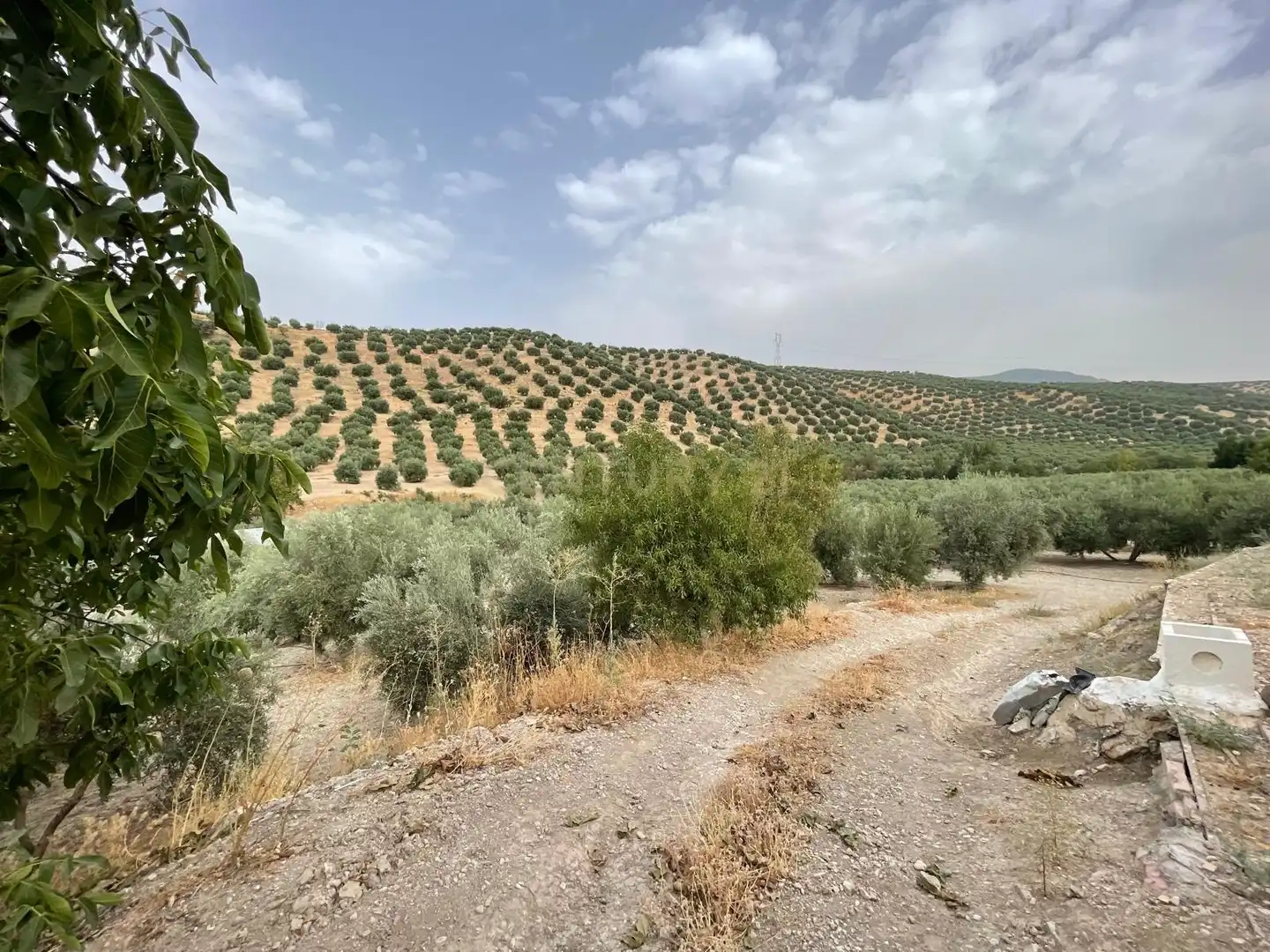 Rustikales Grundstück zum Verkauf in 18260 Íllora, Spain, imagen 22