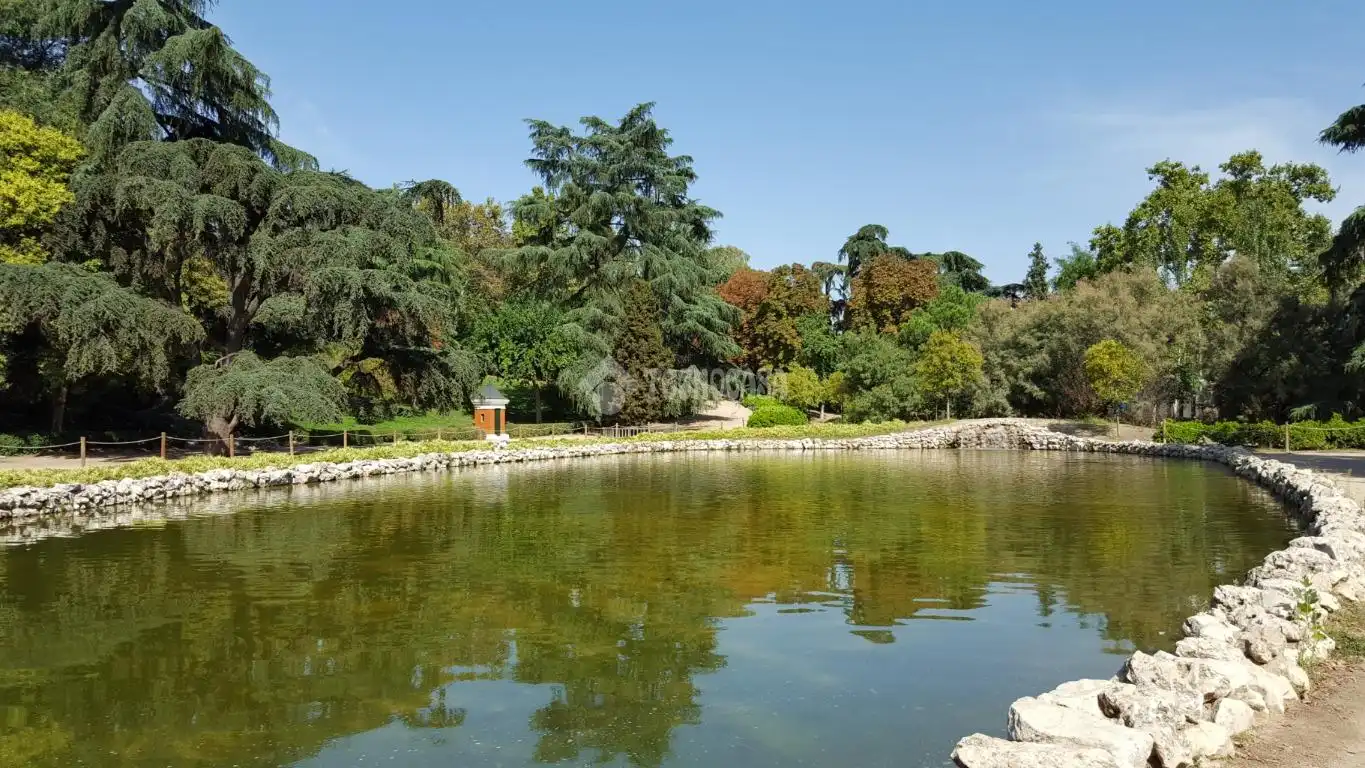 Garten von Wohnung zur Miete in Madrid