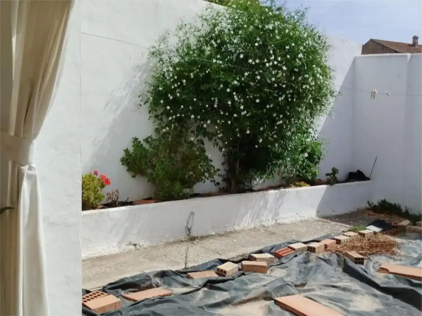 Jardí de Casa adosada en venda en Carratraca, Málaga