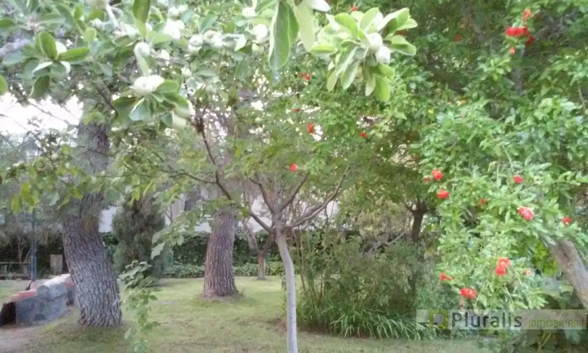 Jardín de Casa o chalet en venta en El Viso de San Juan con Terraza, Trastero y Piscina