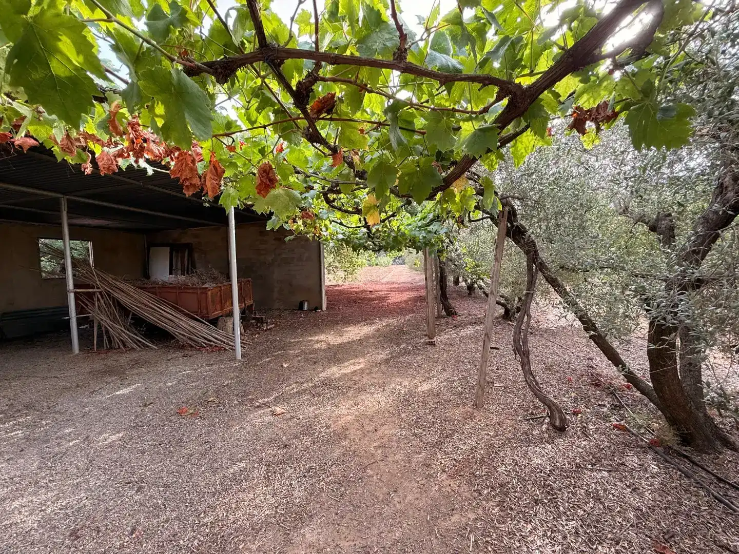 Finca rústica en venda en Vinyols i els Arcs amb Moblat