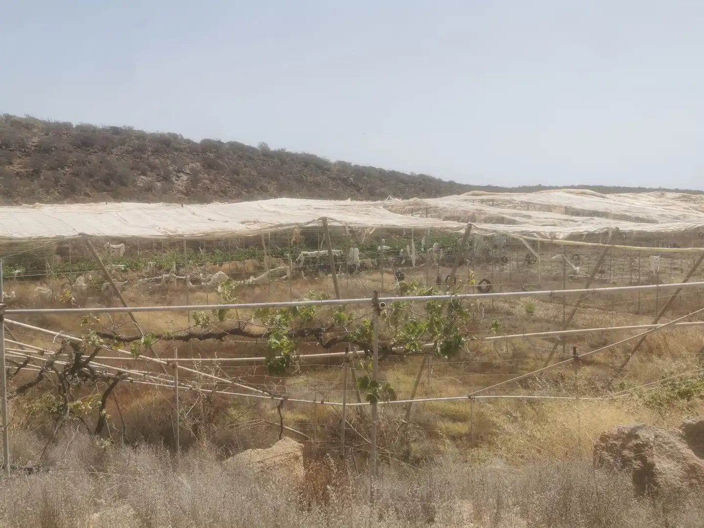 Terreny en venda en Granadilla de Abona