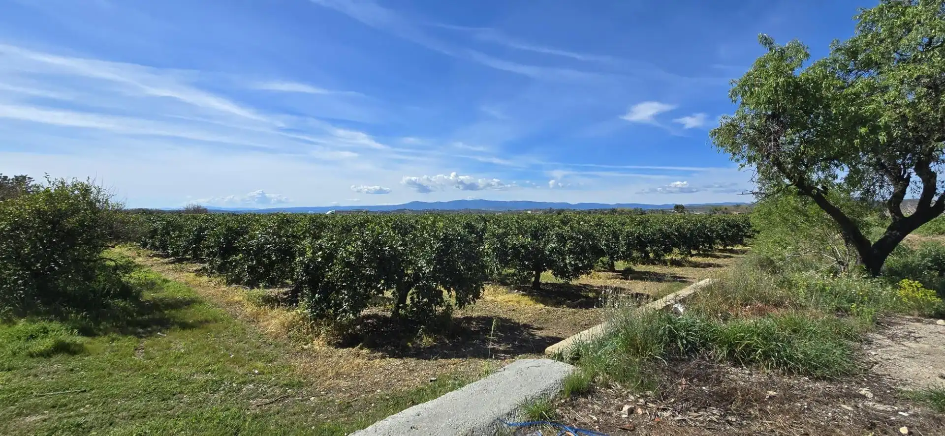 Finca rústica en venda a Santa Bárbara