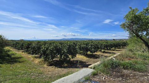 Foto 4 de Finca rústica en venda a Santa Bárbara, Llíria
