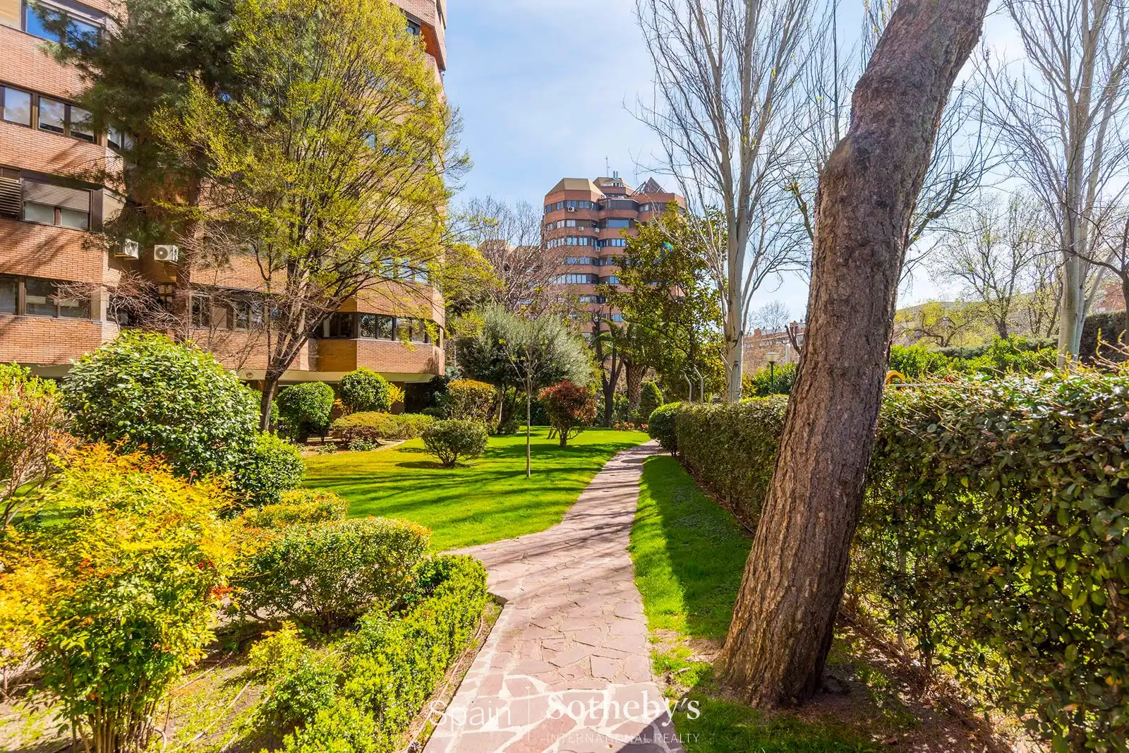 Jardí de Apartament en venda en Madrid amb Aire condicionat, Calefacció i Terrassa