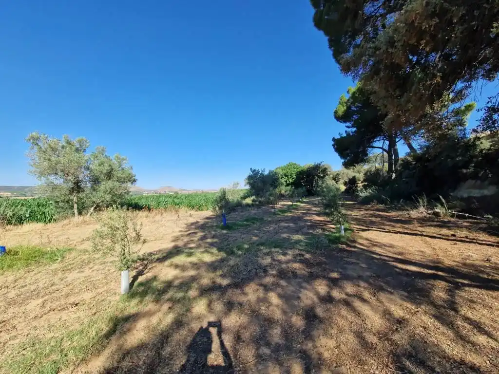 Terreno en venta en Binaced