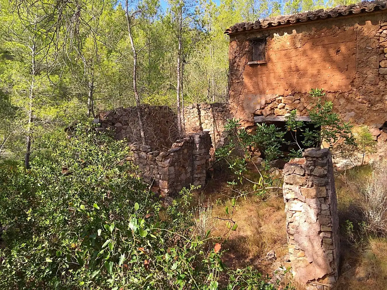 Exterior view of Country homes for sale in Benifallet