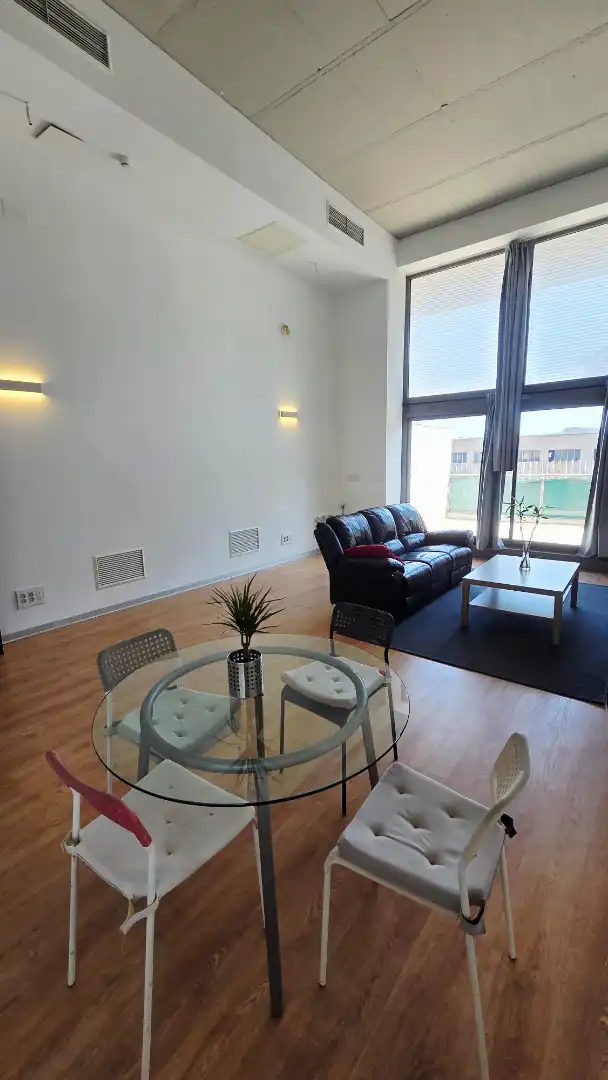 Lofts for sale in Carrer de la Creu Roja, Vara de Quart