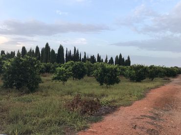 Rural land for sale in Avenida Alemania-Italia