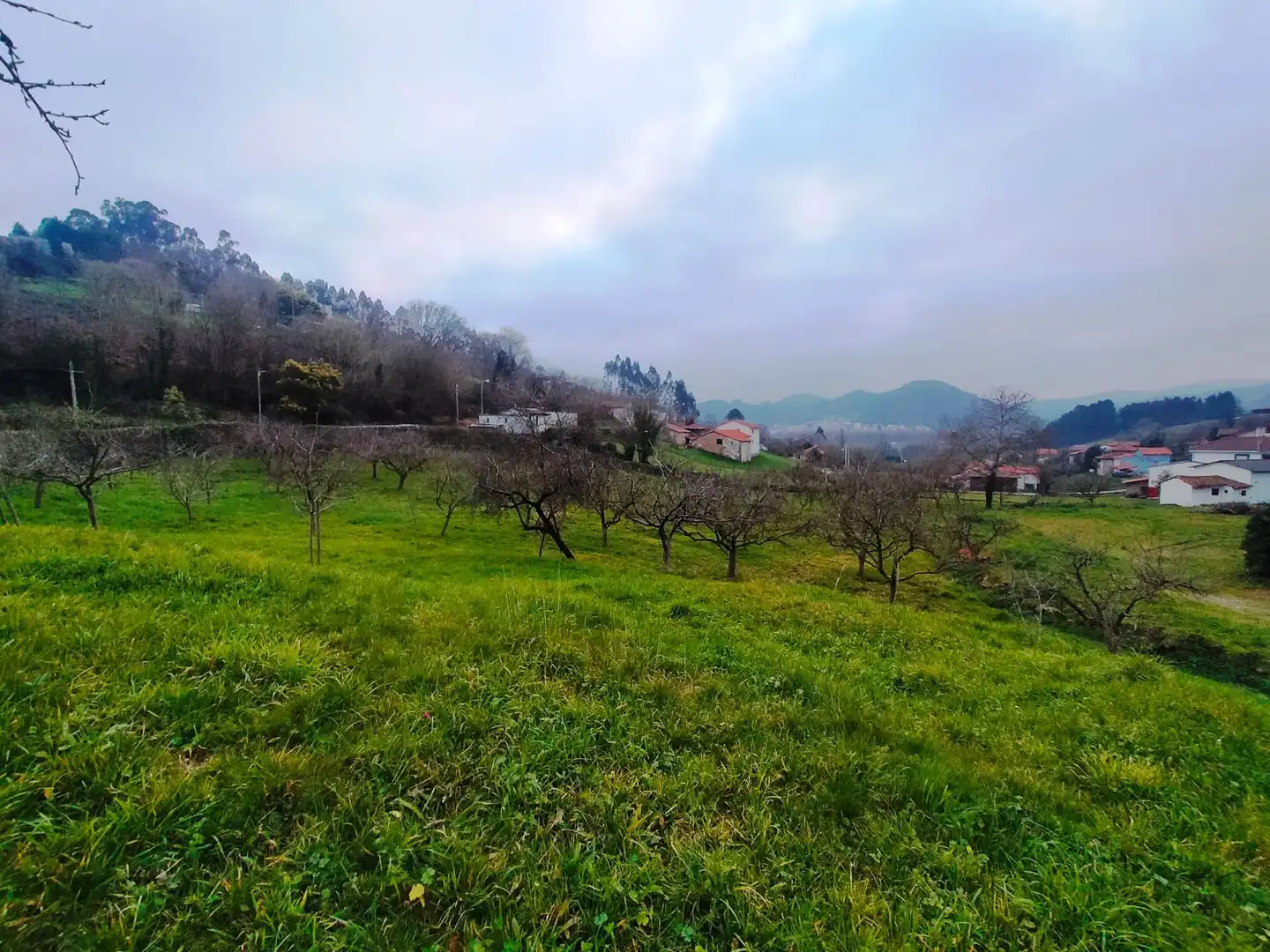 Terreni e lotti in vendita a Pravia, imagen 7