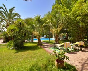 Jardí de Casa o xalet en venda en Elche / Elx amb Aire condicionat i Terrassa