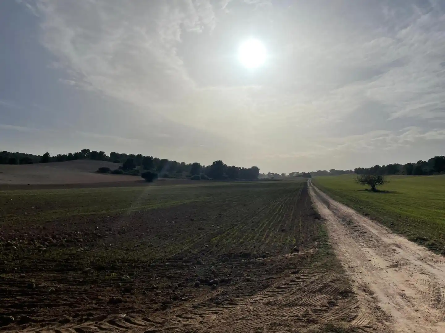 Terreni e lotti in vendita a La Milagrosa, imagen 6
