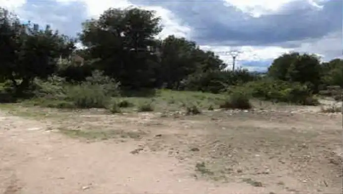 Terreno rustico in vendita a C/ Pinzón-Corral Blanc, imagen 7