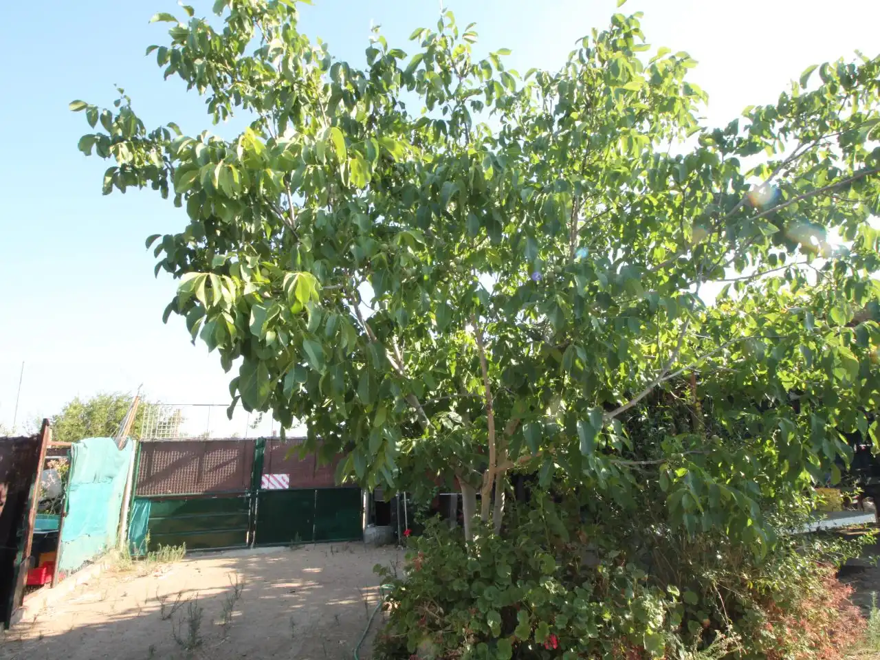 Terreno rustico in vendita a Calle Poniente 13, imagen 24