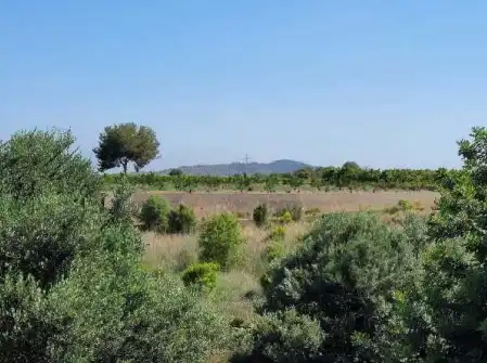 Rustikales Grundstück zum Verkauf in Partida de La Murta, imagen 10