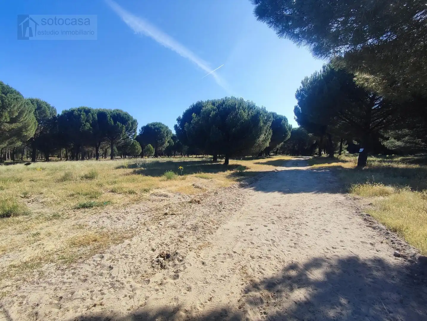 Casa o xalet en venda en Traspinedo amb Calefacció, Jardí privat i Piscina